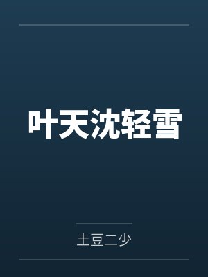 叶天沈轻雪