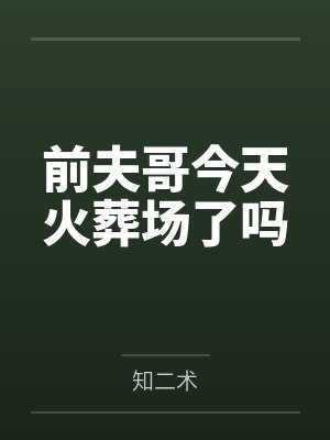 谢昭宁沈不言前夫哥今天火葬场了吗